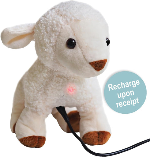 Kulumi (3+), My Little Lamb - Singing Lamb w/Audio Bible, Stories and Songs Musical Stuffed Animal for Baby Christian