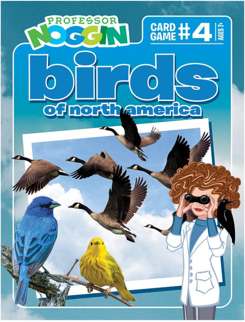 Professor Noggin's Birds of North America Trivia Card Game - Educational Card Game for Kids, Trivia, True or False, 30