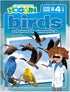Professor Noggin's Birds of North America Trivia Card Game - Educational Card Game for Kids, Trivia, True or False, 30