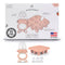 Moss and Fawn Baby's First Bites Bundle - Silicone Frozen Breast Milk