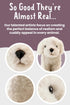 10 Inches Living Nature Labradoodle Stuffed Animal | Fluffy Dog Animal | Soft Toy for Kids |
