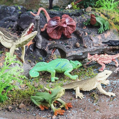12PCS Realistic Reptile Animal Figurine Set, Cold Blooded Amphibians Wild Animal Figures Toy for Kids 3+