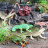 12PCS Realistic Reptile Animal Figurine Set, Cold Blooded Amphibians Wild Animal Figures Toy for Kids 3+