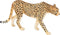 MOJO Cheetah (Male) Hand Painted Realistic Wildlife Toy Replica (387197)