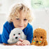 4 Pieces Dog Stuffed Animal 11 Inch Puppy Plush Toy, Valentine's Day Soft Plush Animals, 4 Colors