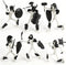 6 Pack T13 Action Figure Set, Skeleton Action Figure Mini Skeletons for