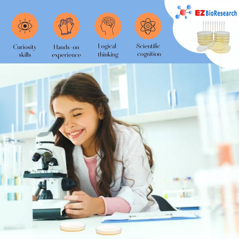 Bacteria Science Kit: Pre-poured LB Agar Plates, Cotton Swabs, E-Book for Science Fair Project with Award Winning
