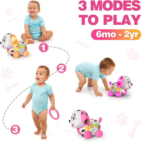 Zardali 6-12 1st 6 7 8 9 10 12-18 1 ABC,123s, Musical Baby Toys Months, Birthday Girl Gifts for One Year Old, Months