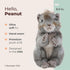 Bearington Peanut Plush Squirrel Stuffed Animal - 8.5 Inches
