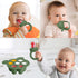 6-in-1 Set 3 Baby Fruit Feeder Pacifier & Baby Food Feeder Silicone Breastmilk Popsicle Mold with Freezer Tray