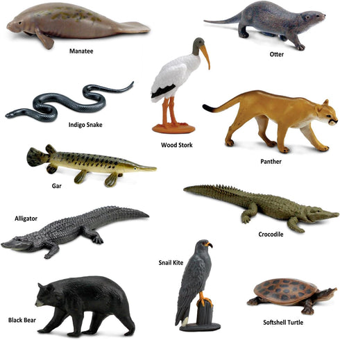 11 Set 3+ Safari Ltd. Everglades TOOB - Mini Figurines: Manatee, Alligator, Turtle & More - Educational Toy for Boys