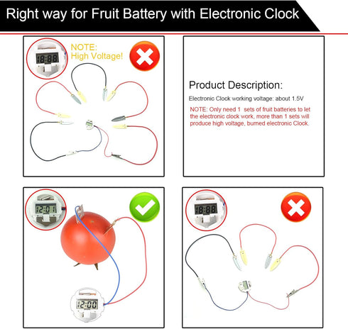 EUDAX Fruit Battery Science Experiment Kit - DIY Home Teaching Toy for School Science Project