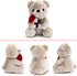 9.8'' Teddy Bear with Rose, Soft Plush Doll for Valentines Day Gifts for Her, Mom, Kids (Gray)