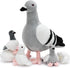 Set, Tezituor Easter Pigeon Stuffed Animal Cuddly Realistic Pigeon Plush Toy,Soft Dove Life-Like Bird Animal Plushie