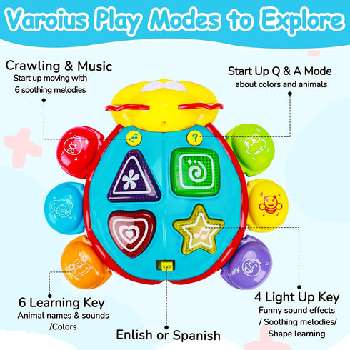 6-12 Tummy 0-6 7 8 9 10 1 2 Baby Crawling Toys Months, Musical Light Up Time Toy for Infant Month Old, Toddler Spanish