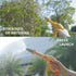 YEIBOBO Kids Water Pressure Washer Tools, Car Wash Gun with Scraper and Sponge for Pretend Play