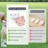100% 2T-6T(10PCS,L) Upairy Training Pants for Boys Girls,Toddler Potty Training Underwear,Leakproof Reusable Kid