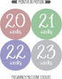 Pregnancy Weekly Belly Growth Stickers - 36 pcs Purple Pink, Matte Finish for Maternity Photo Sessions