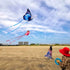 Mint's Colorful Life Butterfly Kite for Kids & Adults, Easy to Fly with 300ft String Handle