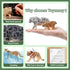 12PCS Set Toymany Big Cat Wild Animal Figurines, Realistic Safari Animals Includes