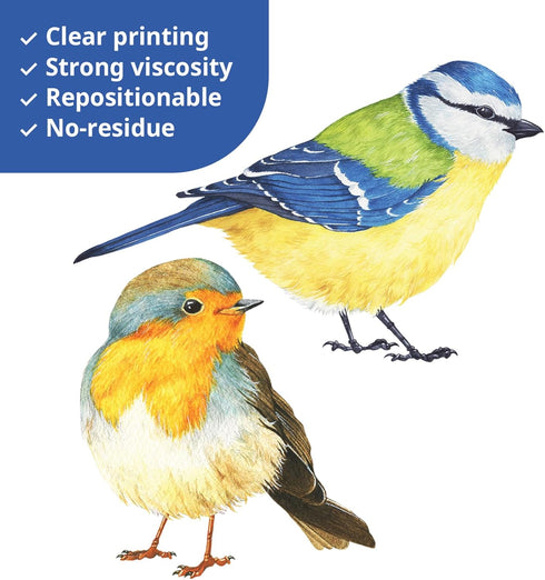 DECOWALL DS2-8038 Little Birds Kids Wall Stickers, Peel and Stick Removable Wall Decals for Kids Nursery Bedroom (Small)