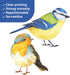 DECOWALL DS2-8038 Little Birds Kids Wall Stickers, Peel and Stick Removable Wall Decals for Kids Nursery Bedroom (Small)