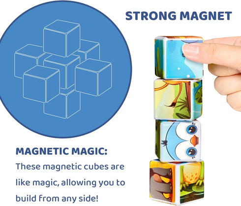 1.65 inch 3D 3-5, Pairez Toys Magnetic Tiles Building Blocks, Magnetic Cubes Toys, STEM Learning Educational Cars