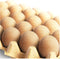 CALPALMY 24 Pieces Wooden Eggs - Life-Size, Reusable Fake Easter Eggs for