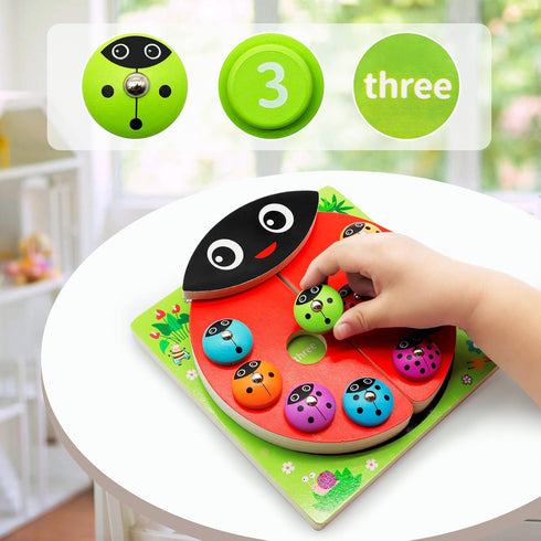 MOONTOY Toddler Wooden Counting Ladybug Montessori Toys, Birthday Gift Magnetic Fishing Game for Kids