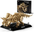 Nifeliz Triceratops Fossil Model Set, Dinosaur Skeleton Building Set for Adults and