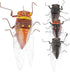 Toyvian 4Pcs Plastic Cicada Fake Model, Simulated Insect Toys for Joke Halloween Party Favors, Random Color