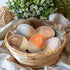 Set 5 of Colorful Wooden Egg Shakers for Kids