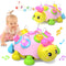 Holaxander Baby Musical Ladybug Crawling Toys,Baby Toy 6-12 Months with Light-up Music, Early