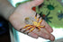 16 2-3 Inch BOHS Bug Play Figures, Realistic Insect Toys for Educational Projects - Pcs, in Length - Perfect Party