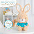 KIDS PREFERRED Beatrix Potter Peter Rabbit Cuteeze Bunny - 12 Inch Soft Plush Toy for Baby and Toddler