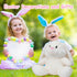 10inch HollyHOME Bunny Stuffed Animal, Easter Bunny Plush Toys, Soft and Cuddly Stuffed Rabbit Easter Gift for Kids