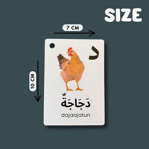Albidaya Islamic Store Arabic Alphabet Flash Cards for Kids Toddler and Adults, Arabic First Words, Letter Recognition