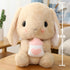 HOUPU Bottle,8.6in/22cm) Soft Toy - Sitting Lop Eared Rabbit, Easter White Rabbit Stuffed Bunny Animal with Carrot Soft