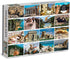 Vacation Cats 1500 Piece Puzzle: Galison, Features Cats in Famous Locations, Great Gift for Cat Lovers