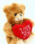 Plushland Mocha Heart Bear - 9 Inch Plush Toy for Kids & Adults, Embroidered Heart Pillow, Brown