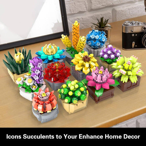 Set Sets, 12 (1174 Succulents for Adults Building Plants, Home Decor, Birthday Gifts for Women, Creative Housewarming