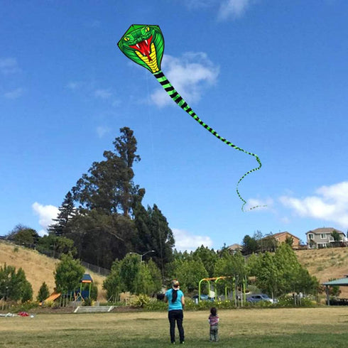 HENGDA KITE Large Power Snake Kites with Flying Line - Outdoor Fun Sports Kite