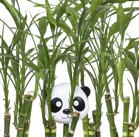 melii Animal Snack Containers with Lids - Food Storage for Kids and Toddlers - Panda
