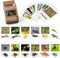 MEROCO Montessori Animal Match, Insect Animal Figurines with Matching Cards for Preschool Learning Toy NEWT008