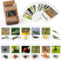 MEROCO Montessori Animal Match, Insect Animal Figurines with Matching Cards for Preschool Learning Toy NEWT008