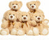5 Pack Teddy Bears Bulk 13.5 inich Teddy Bear Stuffed Animal Baby