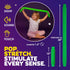 8-Pack 2026, Nutty Toys Jumbo Pop Tubes - XL Sensory Toys - Creative STEM Learning for Kids - Connect & Pop! Top ADHD