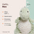 Bearington Rex The T-Rex Dino Plush, 12 Inch Stuffed Animal Dinosaur