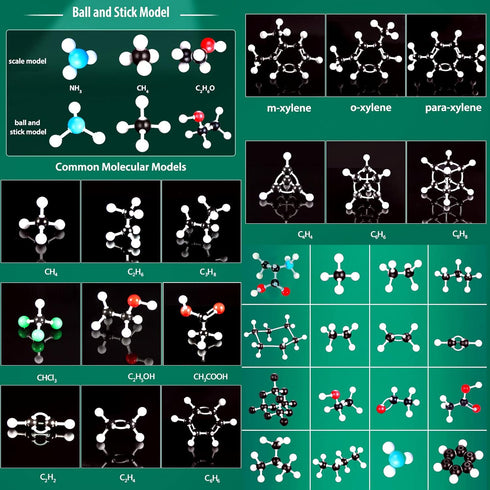 Organic Chemistry Molecular Model Kit 206pc, Educational Science Set for Middle and High School Students, Gift for
