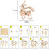 5 in 1 DIY 3D Wooden Animal Puzzles for Adults, Paintable Puzzle Kit for Home Decor & Stress Relief